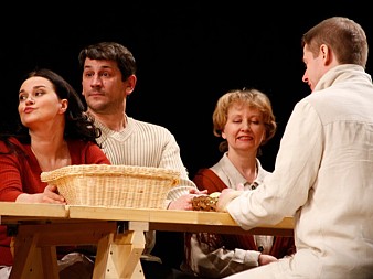 Пролетный гусь